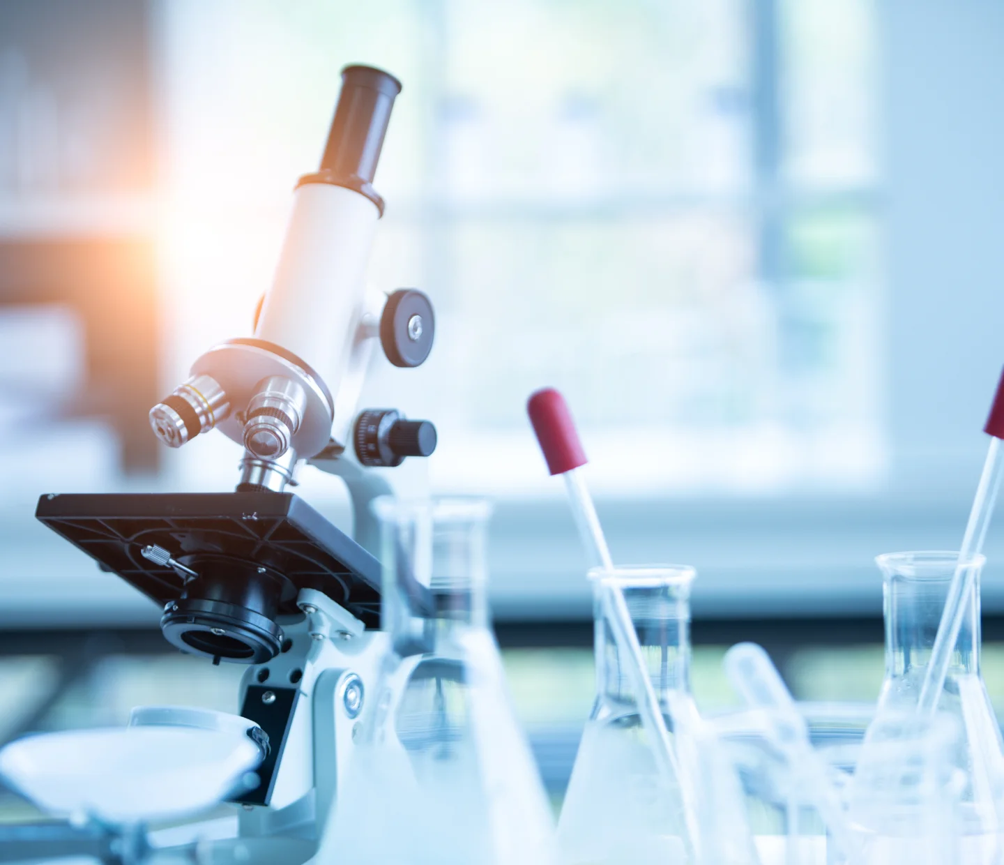 Case Studies Hero Background